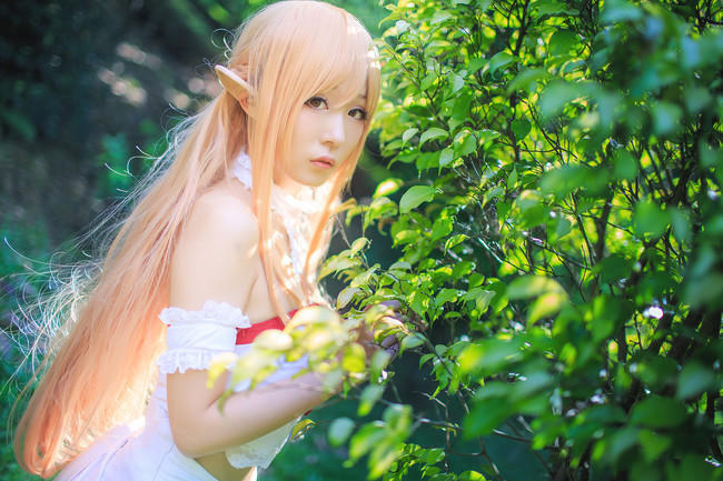 ky.com:农业部支持海南热带农业走出去(图1) ky.com:农业部支持海南热带农业走出去(图1)