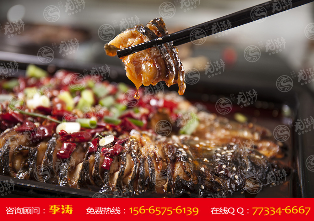 kycom-海马多少钱一斤?海马为什么这么贵?(图3) kycom-海马多少钱一斤?海马为什么这么贵?(图3)