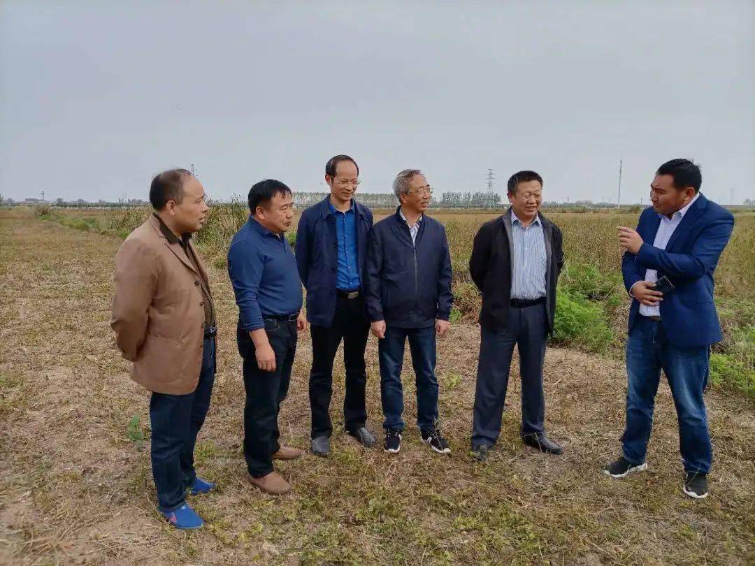 泰州市农业农村局对水稻绿色高质高效建立事情开展交织互查【kycom】(图2)
泰州市农业农村局对水稻绿色高质高效建立事情开展交织互查【kycom】(图2)