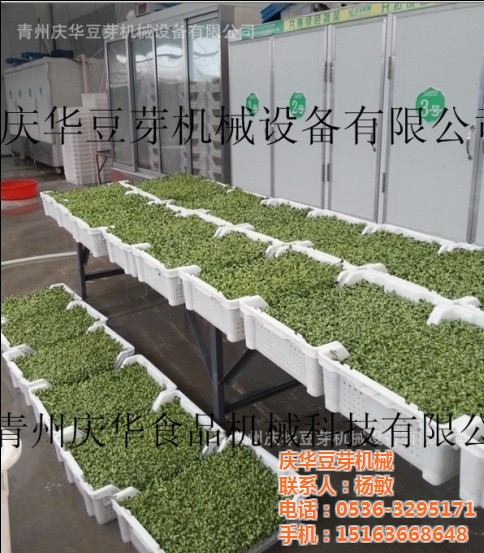 “kycom”2019年马哈鱼的价格多少钱一斤?马哈鱼有哪些主要价值?(图4) “kycom”2019年马哈鱼的价格多少钱一斤?马哈鱼有哪些主要价值?(图4)