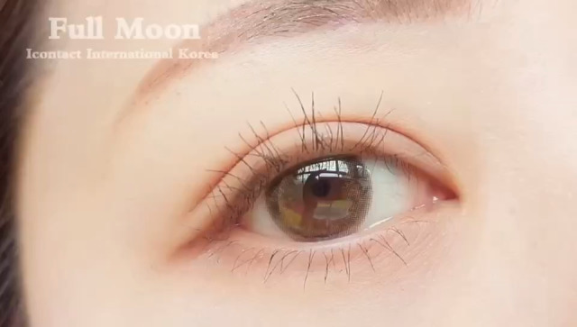 kycom|海参价格现在多少钱一斤?海参的功效与作用吃法(图2) kycom|海参价格现在多少钱一斤?海参的功效与作用吃法(图2)