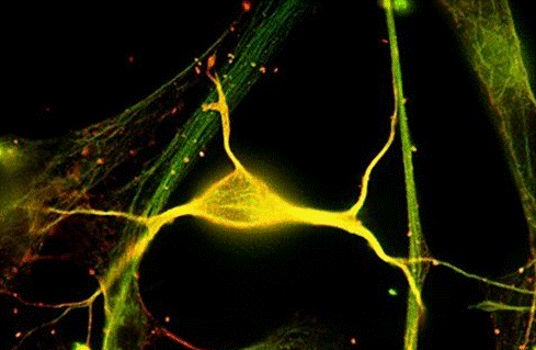 “kycom”第八届高校联赛西南交通大学站完美落幕(图1)