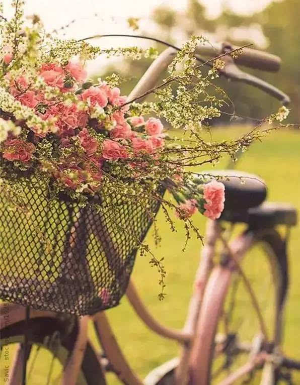 【kycom】8月份农村新增补贴出台每亩补贴资金可达100元！(图3)