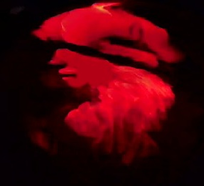 S6确认禁用新版掘墓 大嘴或将削弱后期能力“kycom”(图2)