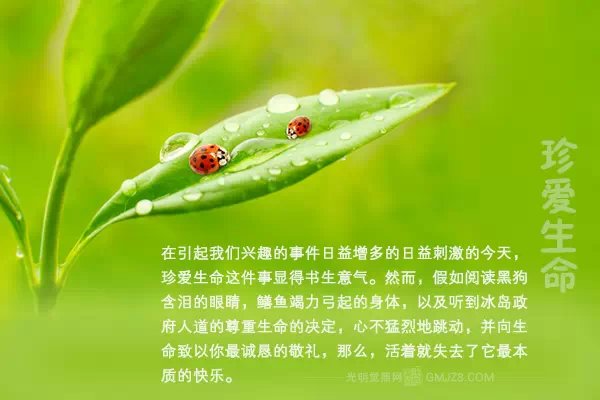 JDG赛后群访 Zoom：腕豪的优点就是搅屎棍：ky.com(图2)