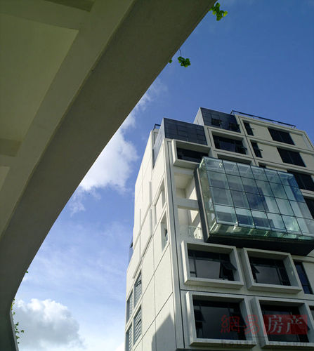 ky.com|胜在人为 2019蚂蚁电竞嘉年华暨产品发布会(图1) ky.com|胜在人为 2019蚂蚁电竞嘉年华暨产品发布会(图1)