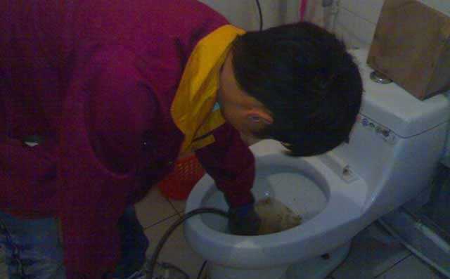 2月28日小麦价格行情：储备库小麦供应充足，小麦价格何去何从？“ky.com”(图2)