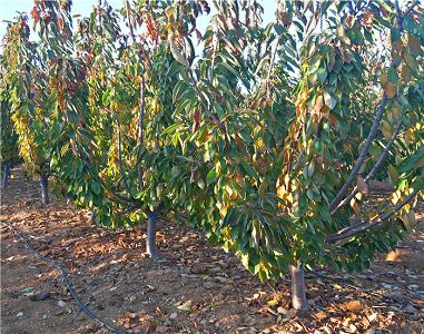 《DNF》开学新体验登录得好礼活动奖励一览:kycom(图1) 《DNF》开学新体验登录得好礼活动奖励一览:kycom(图1)