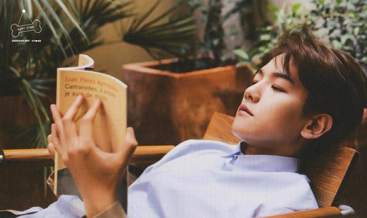 kycom_韭菜多少钱一斤？2018年最新韭菜主产区价格行情分析(图1)