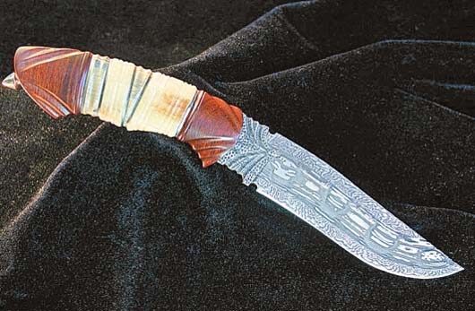 “kycom”现在豆虫市场价格多少钱一斤？哪里收购？（附养殖前景）(图1)