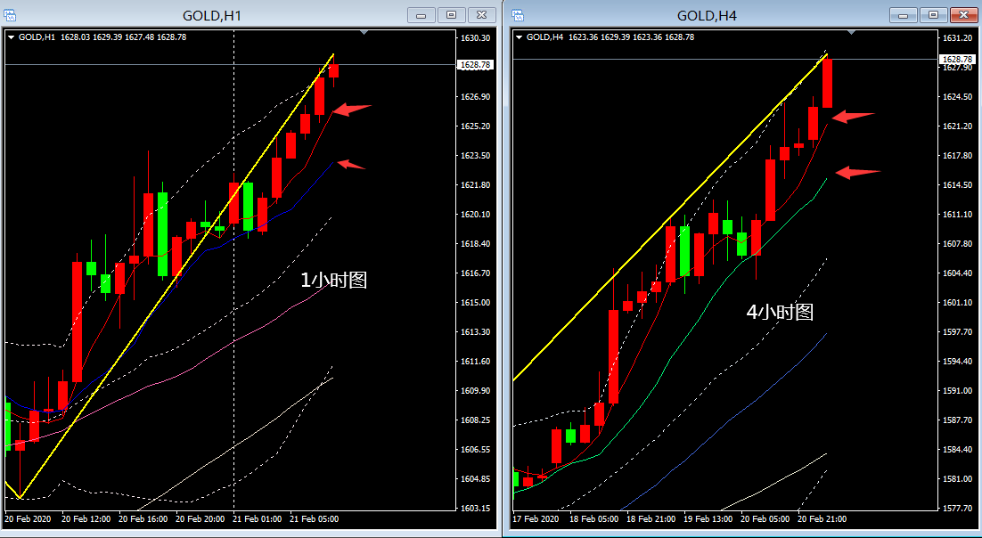 ky.com|水培花卉需要增氧保证观赏效果(图1)