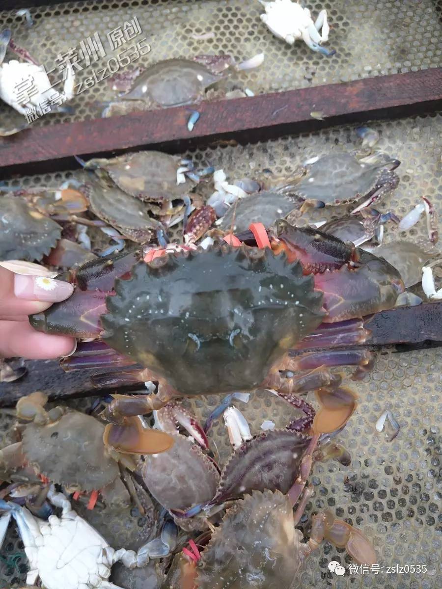 2017LOL春晚视频直播地址有吗哪看 LOL春晚网络直播在线观看|kycom(图1) 2017LOL春晚视频直播地址有吗哪看 LOL春晚网络直播在线观看|kycom(图1)