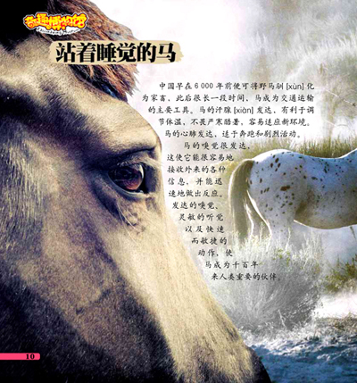 LOL11月13日维护到中午12点 版本一个月两次更新【ky.com】(图1)