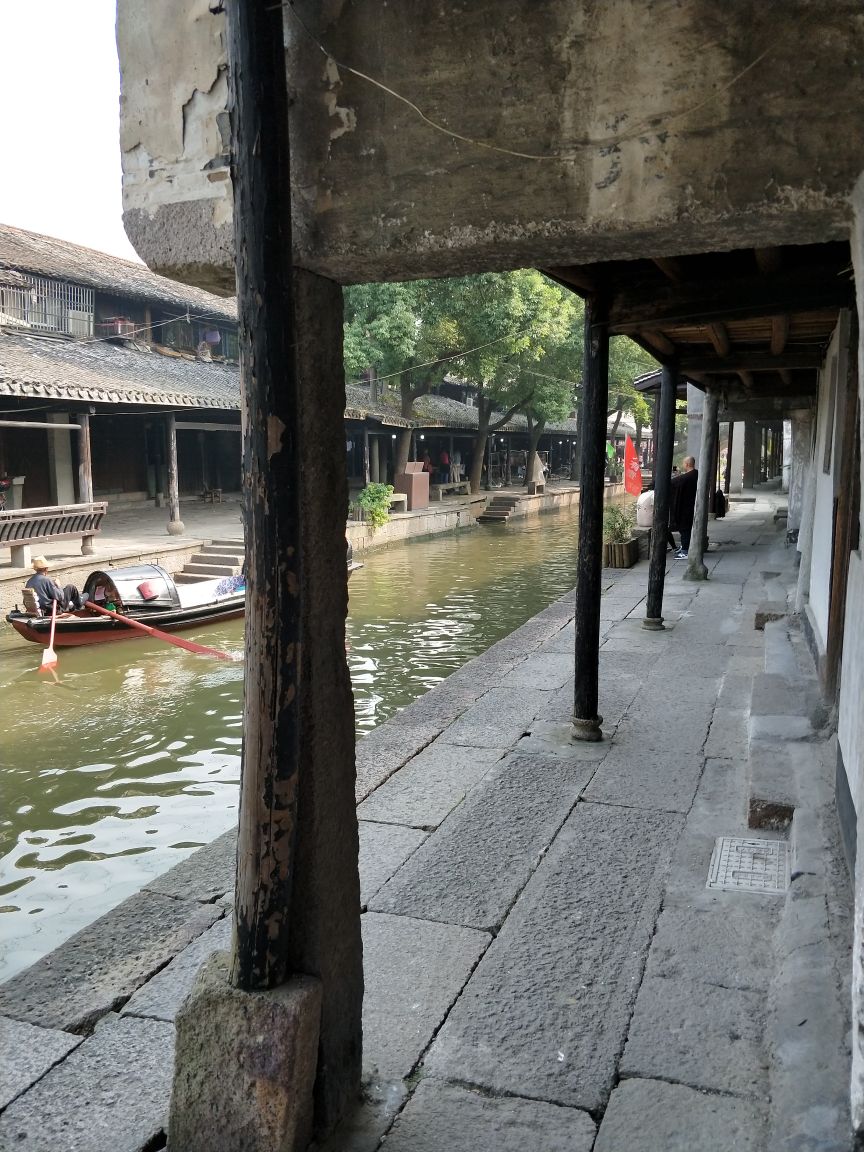 娃娃鱼特色养殖项目建议书‘kycom’(图1)
娃娃鱼特色养殖项目建议书‘kycom’(图1)