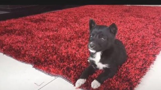 【kycom】“赶考”还在路上 不能忘记为什么出发_时事政治_中公教育网(图3) 【kycom】“赶考”还在路上 不能忘记为什么出发_时事政治_中公教育网(图3)