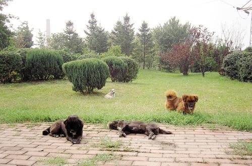 kycom:EHOME转会期整人?zyd家人怒斥:良心何在(图2) kycom:EHOME转会期整人?zyd家人怒斥:良心何在(图2)