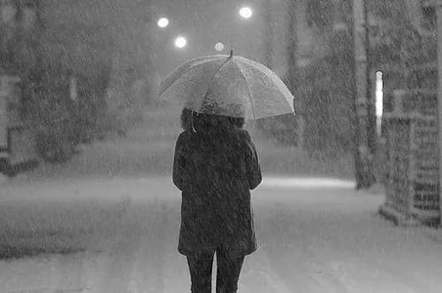 提升政府现代治理能力的重要手段_时事政治_中公教育网_kycom(图2) 提升政府现代治理能力的重要手段_时事政治_中公教育网_kycom(图2)