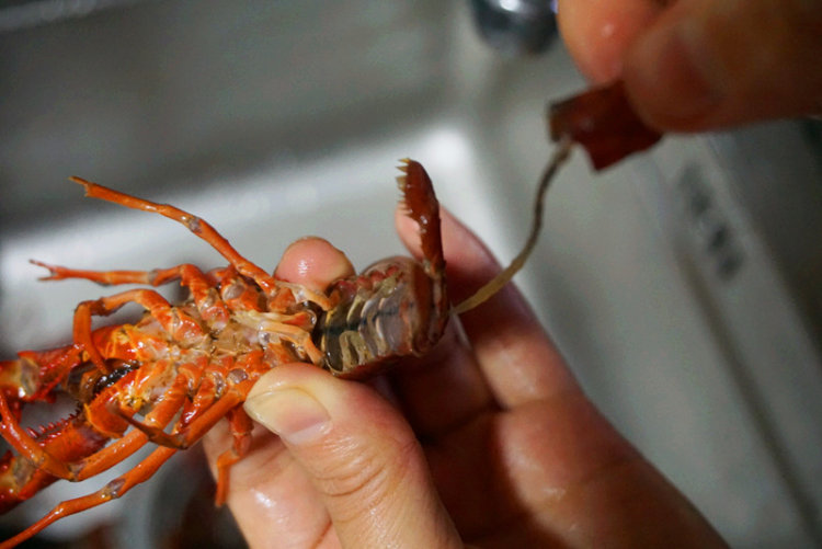 小国寡民，“全民”民主|从陶片流放法，看雅典民主政治的两面性‘ky.com’(图1)