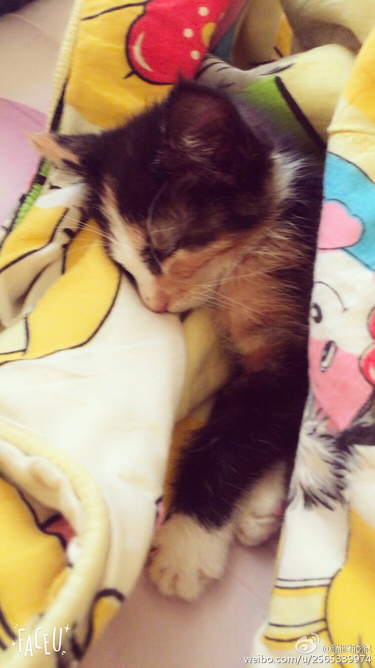 ‘ky.com’“Super”降临,ChinaJoy NVIDIA展台锋芒尽显(图2) ‘ky.com’“Super”降临,ChinaJoy NVIDIA展台锋芒尽显(图2)