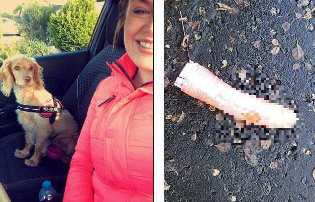 ky.com:扶贫重在扶“志”,更重在扶“智”_时事政治_中公教育网(图1) ky.com:扶贫重在扶“志”,更重在扶“智”_时事政治_中公教育网(图1)