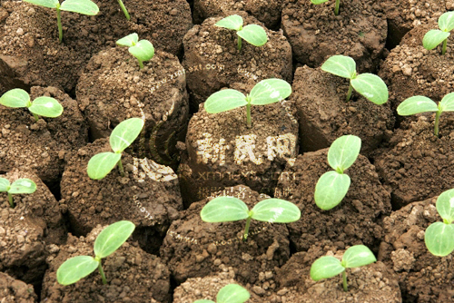 kycom_
逐日一练：知识判断之时事篇（5题谜底剖析）(图1)