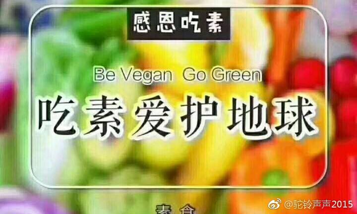 ‘ky.com’《纯白魔女》8月1日全平台公测,多重福利等你来拿(图1) ‘ky.com’《纯白魔女》8月1日全平台公测,多重福利等你来拿(图1)