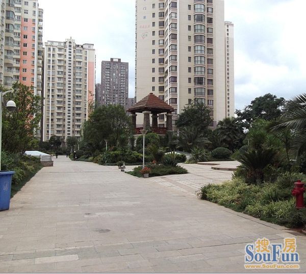 kycom：安岳有个“红薯妹妹”带领4000余户农户致富增收(图2)