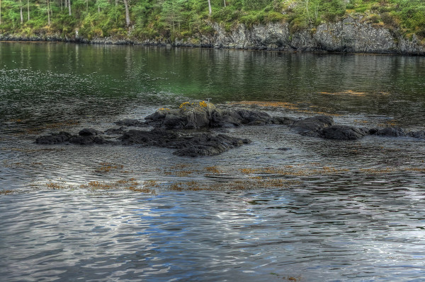 kycom：dnf调换龙角碎片的NPC怎么没了 调换龙角碎片的NPC在哪里(图3)