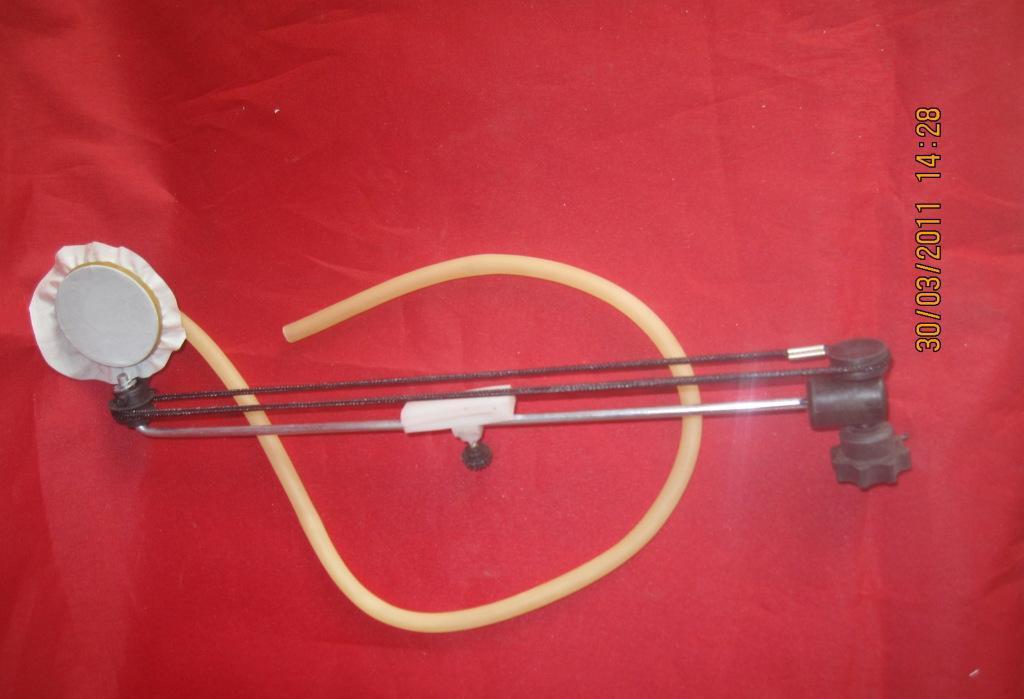 ky.com：以自我革命精神守初心担使命_时事政治_中公教育网(图1)