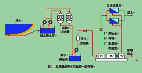 kycom_鹌鹑苗哪里有卖？鹌鹑怎么育苗？(图1)